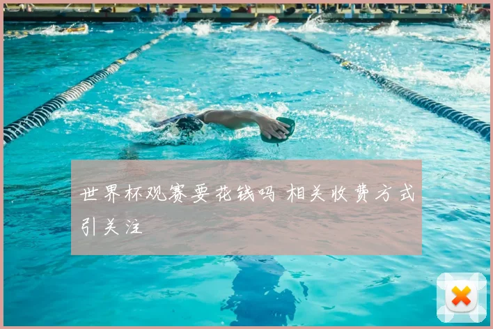 世界杯观赛要花钱吗 相关收费方式引关注