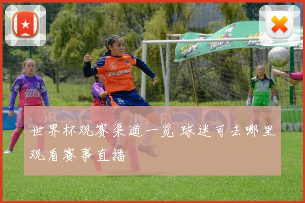 世界杯观赛渠道一览 球迷可去哪里观看赛事直播
