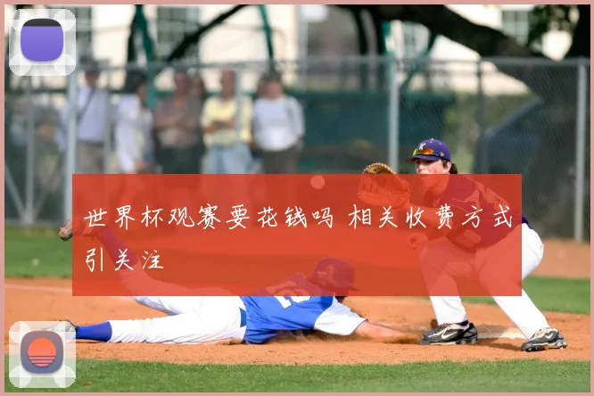 世界杯观赛要花钱吗 相关收费方式引关注