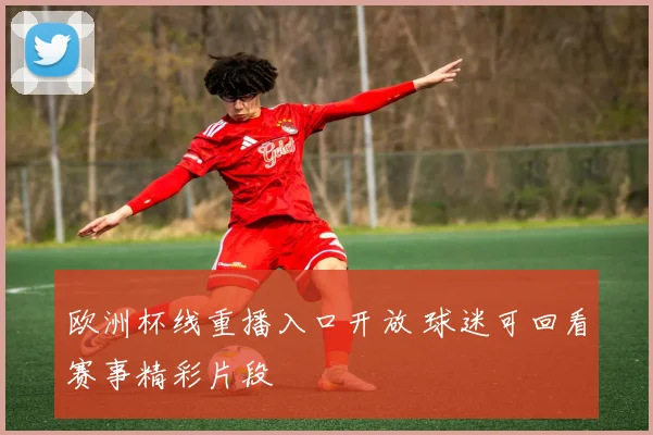 欧洲杯线重播入口开放 球迷可回看赛事精彩片段