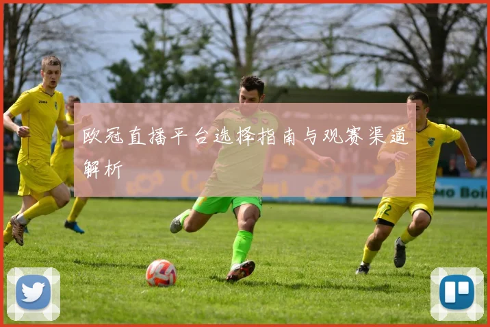 欧冠直播平台选择指南与观赛渠道解析
