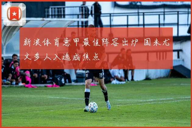 新浪体育意甲最佳阵容出炉 国米尤文多人入选成焦点